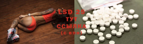 PSILOCYBIN Покров