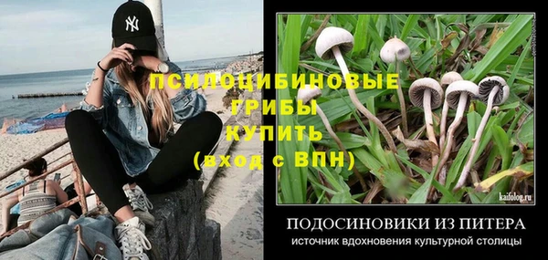 PSILOCYBIN Покров