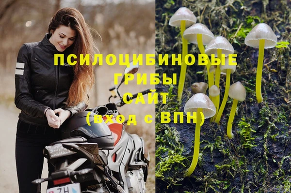 PSILOCYBIN Покров