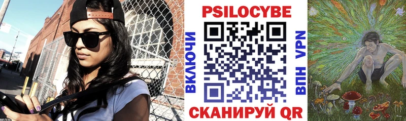 где можно купить наркотик  Баксан  Галлюциногенные грибы GOLDEN TEACHER 