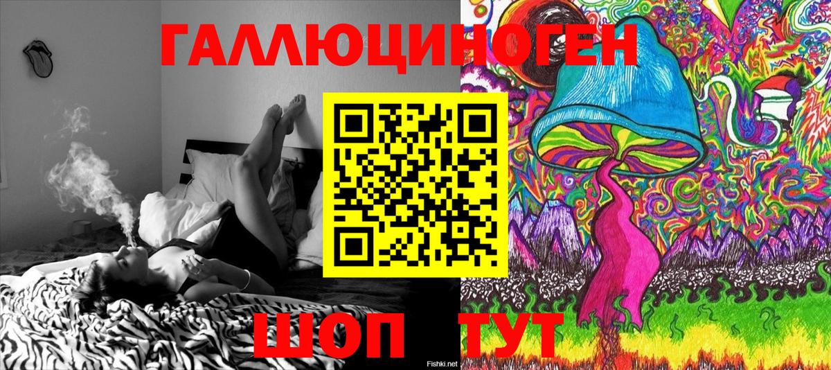 Галлюциногенные грибы Psilocybine cubensis  Вход с VPN  Псилоцибиновые грибы Psilocybe  Баксан 